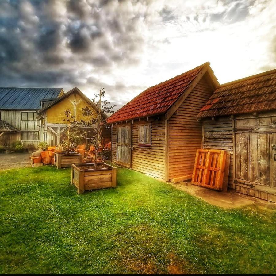 Housewithnonails Matamata Exterior foto