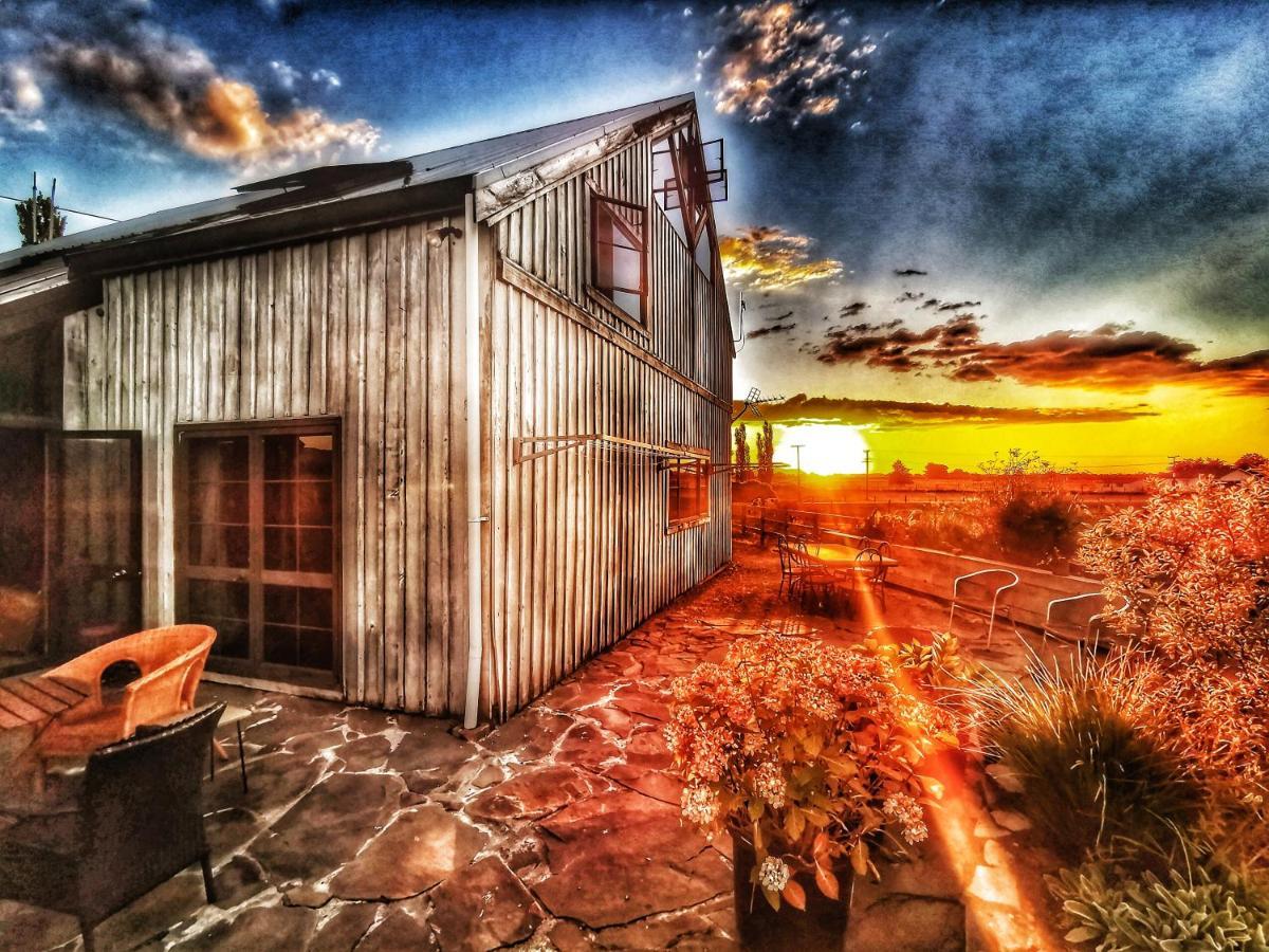 Housewithnonails Matamata Exterior foto