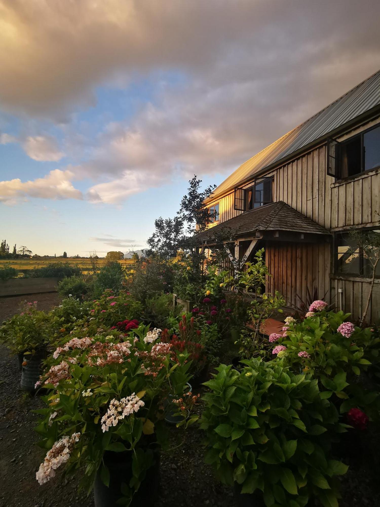 Housewithnonails Matamata Exterior foto